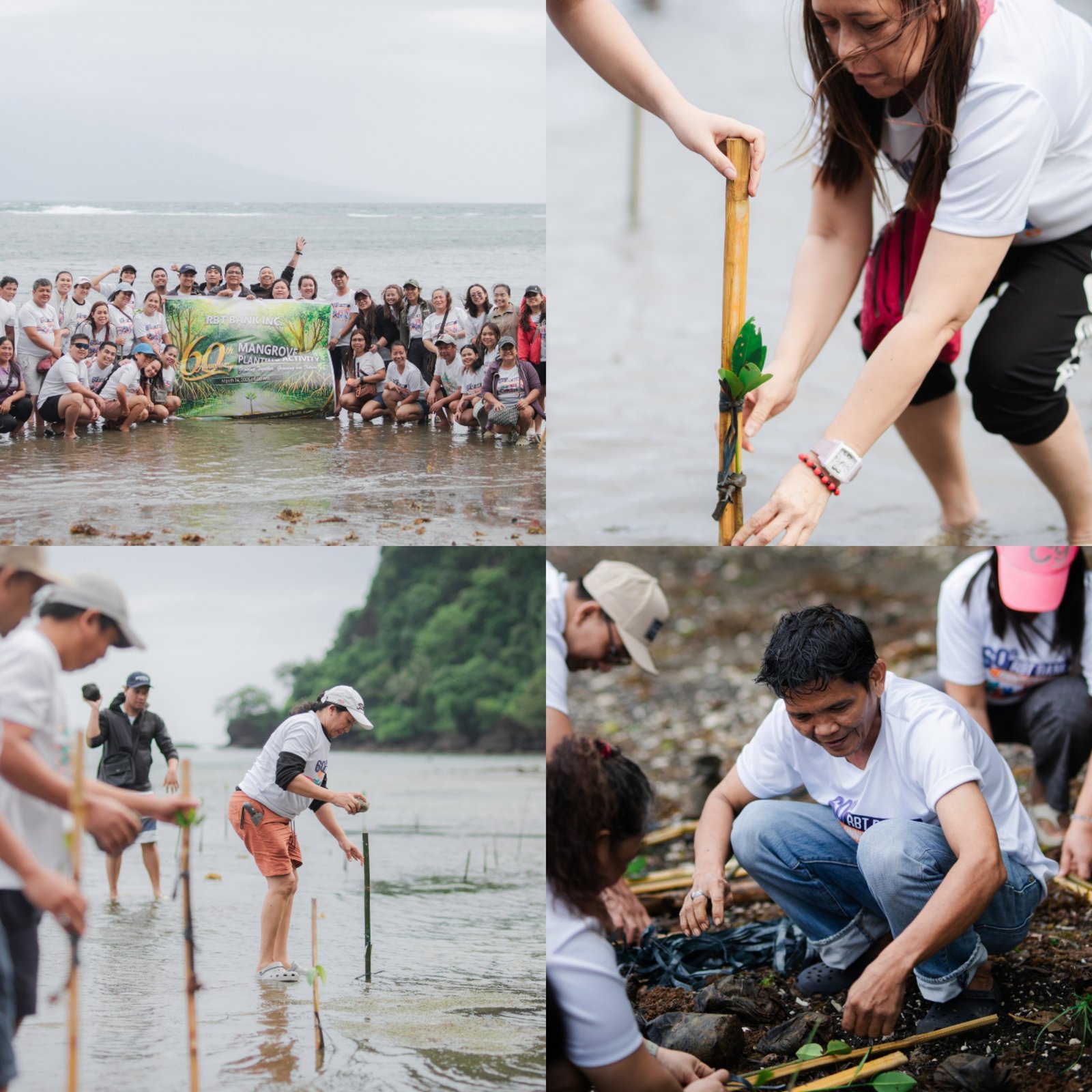 RBT Bank staff and volunteers planting mangroves along the coast