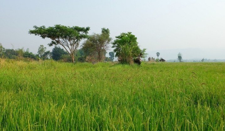 Agricultural lot in Tagbocboc, Talisayan, Misamis Oriental