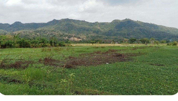 Agricultural lot in Kitambis, Binuangan, Misamis Oriental